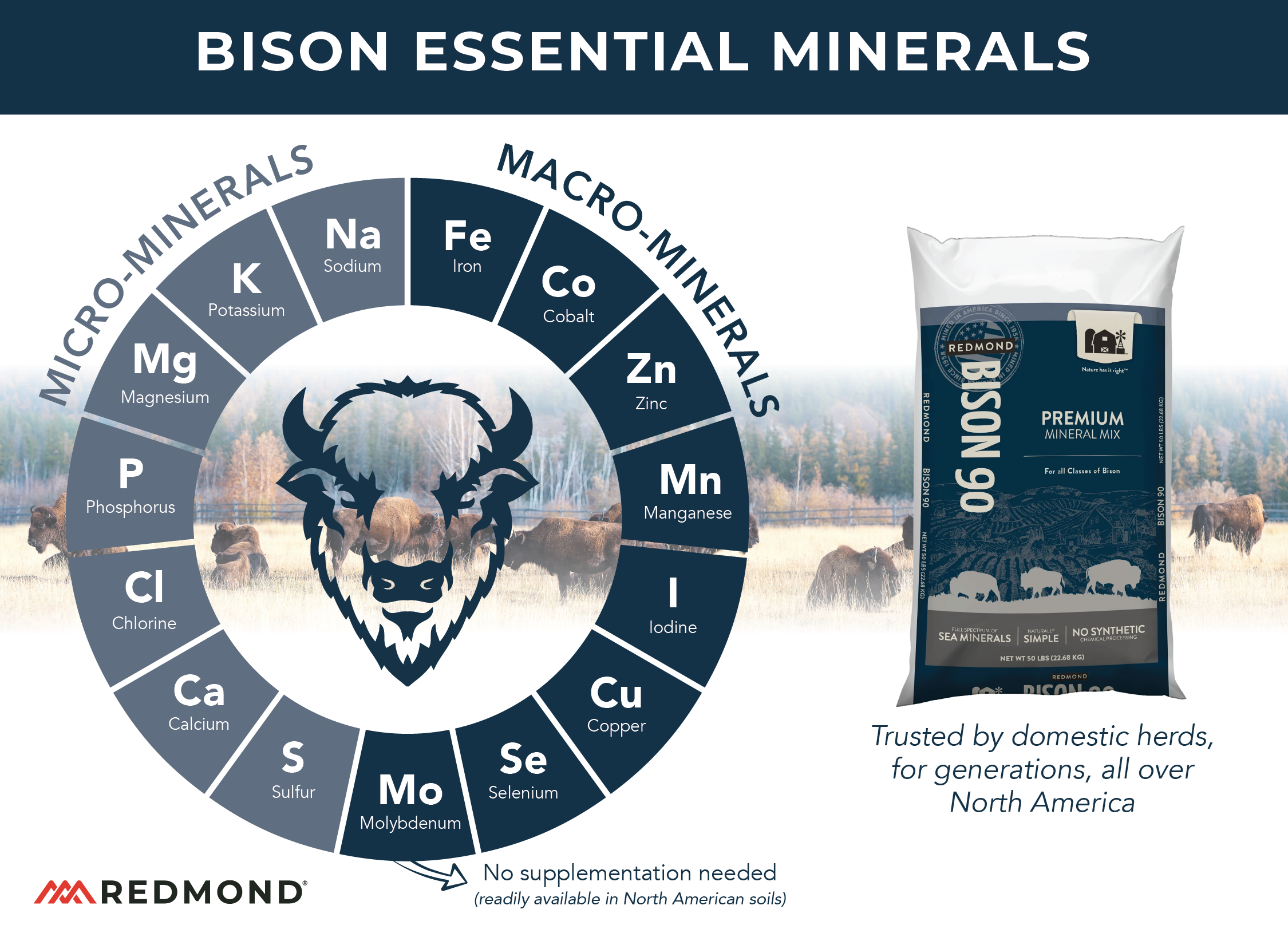 What minerals do bison need