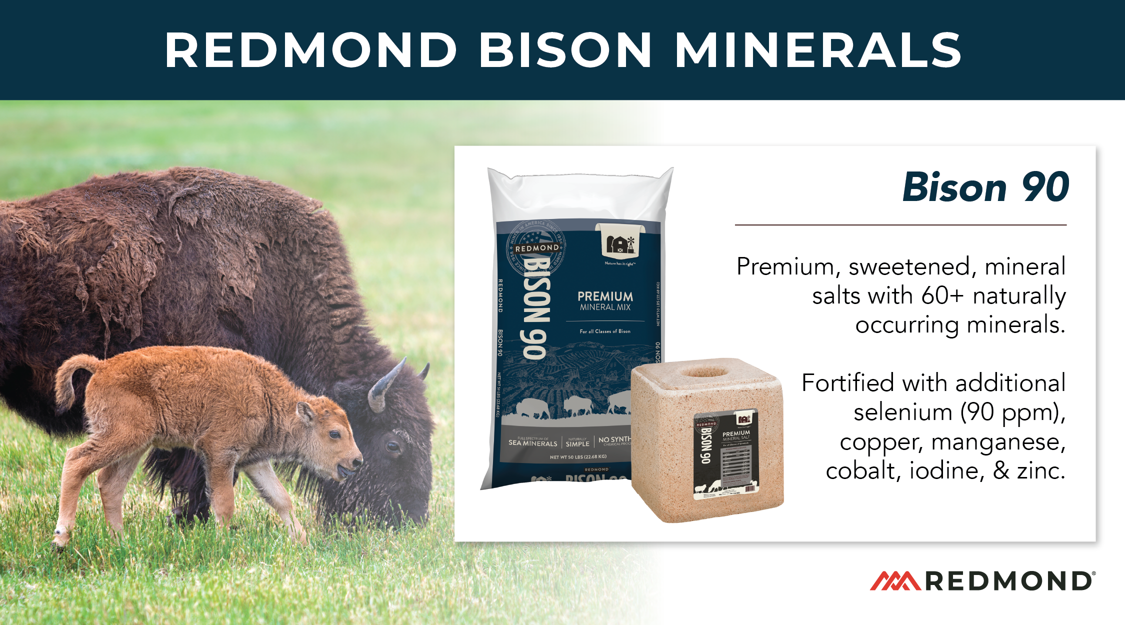 Bison Minerals-02