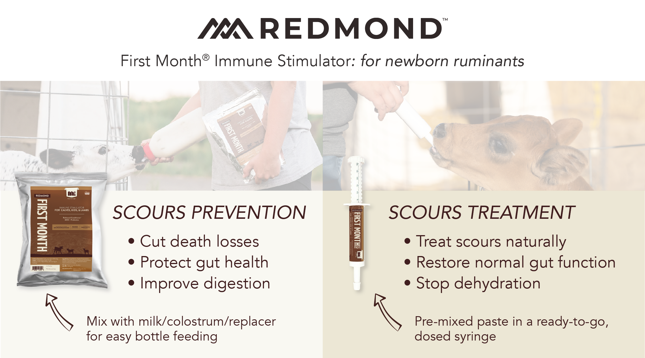 Calf scours prevention and treatment