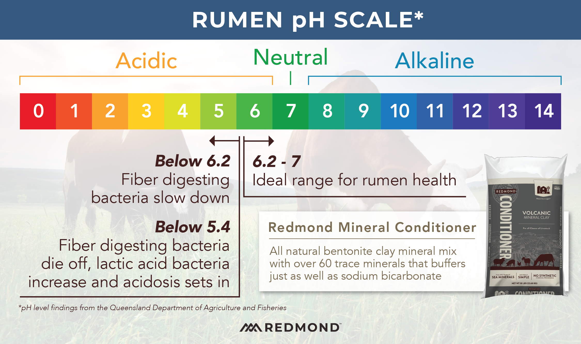 Healthy rumen pH scale