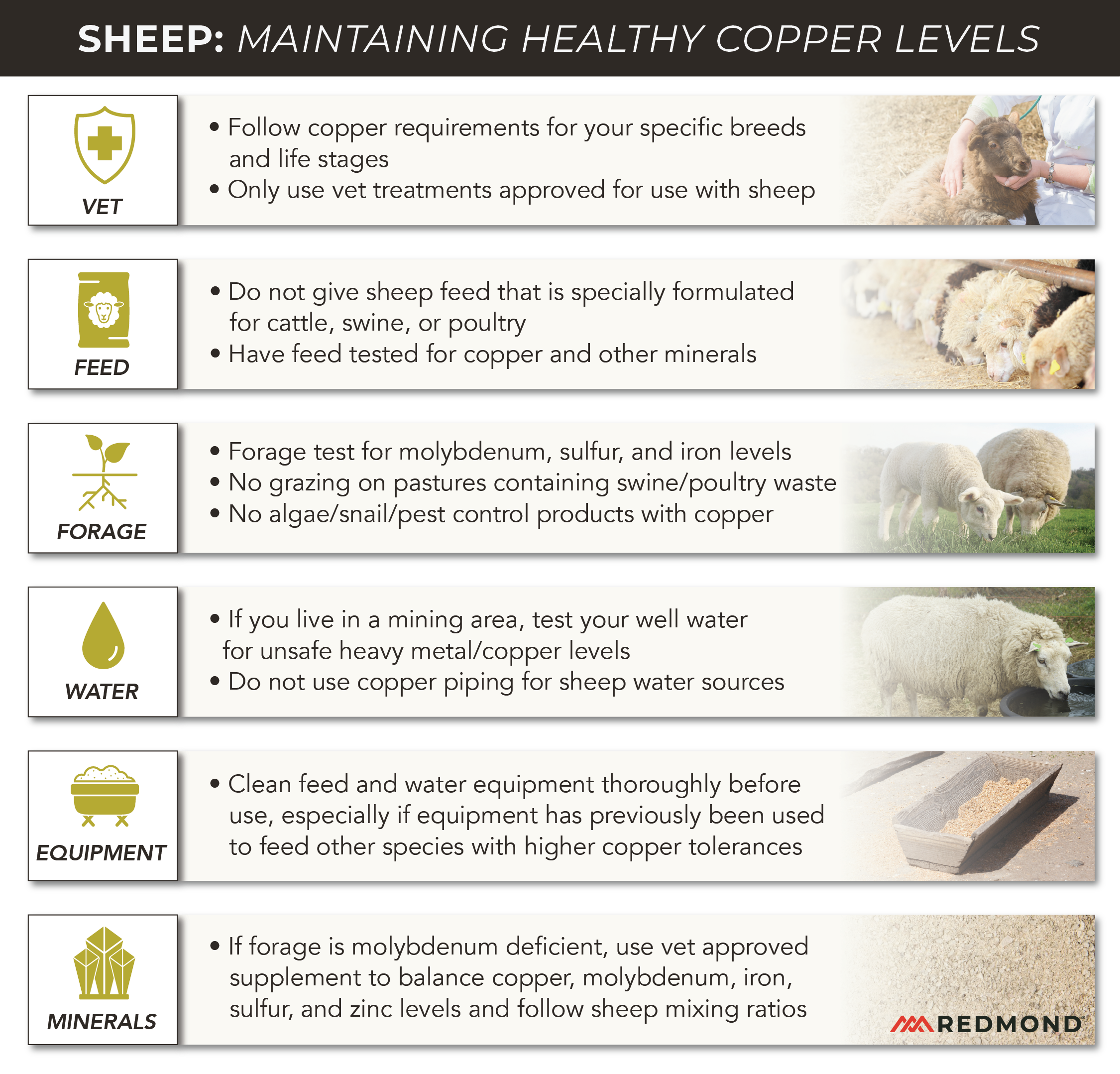 How to protect sheep from copper toxicity