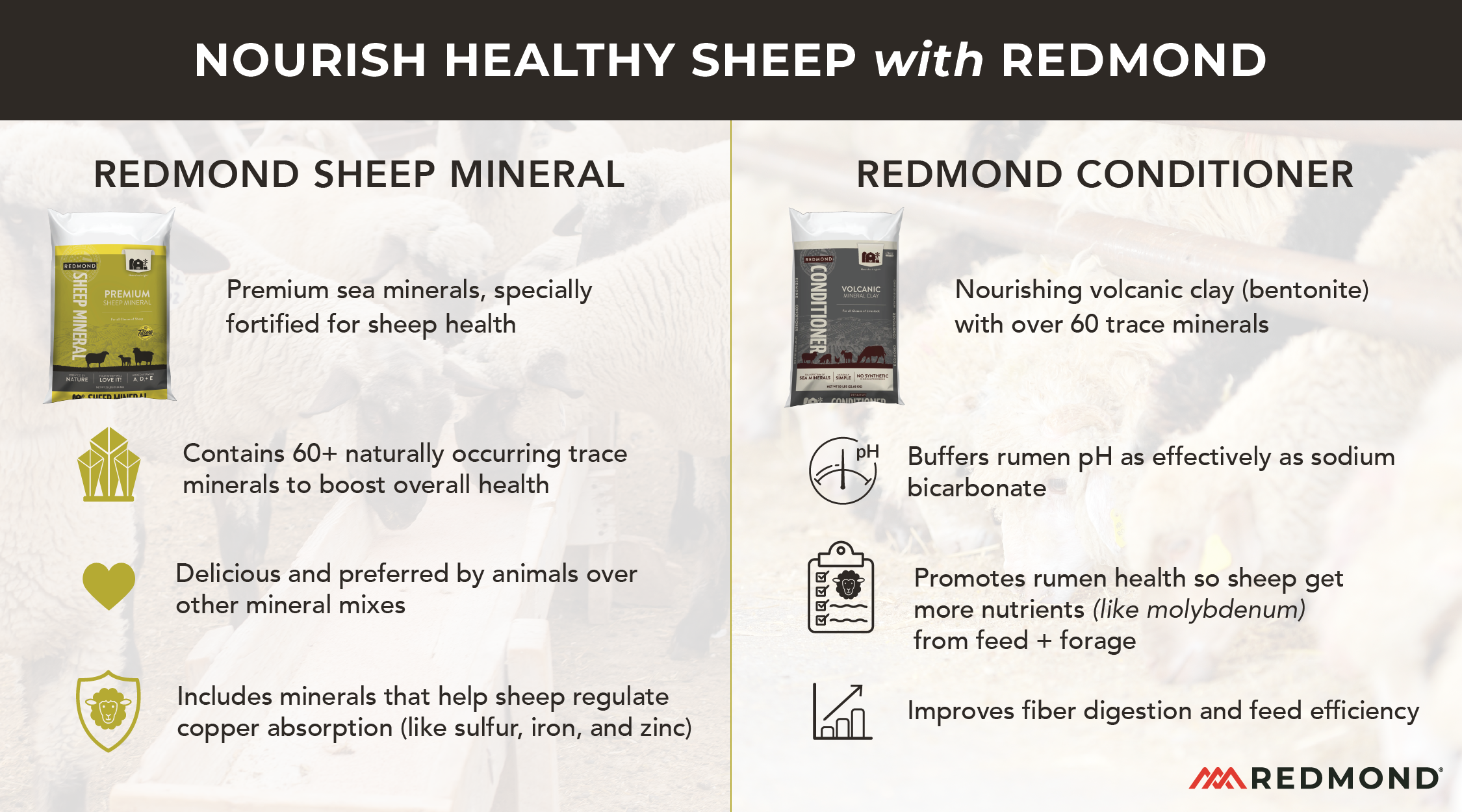 Sheep mineral program