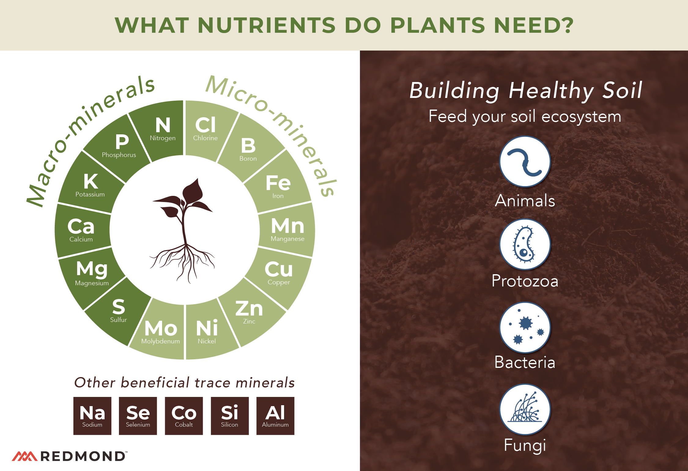 Essential Soil Health Nutrients