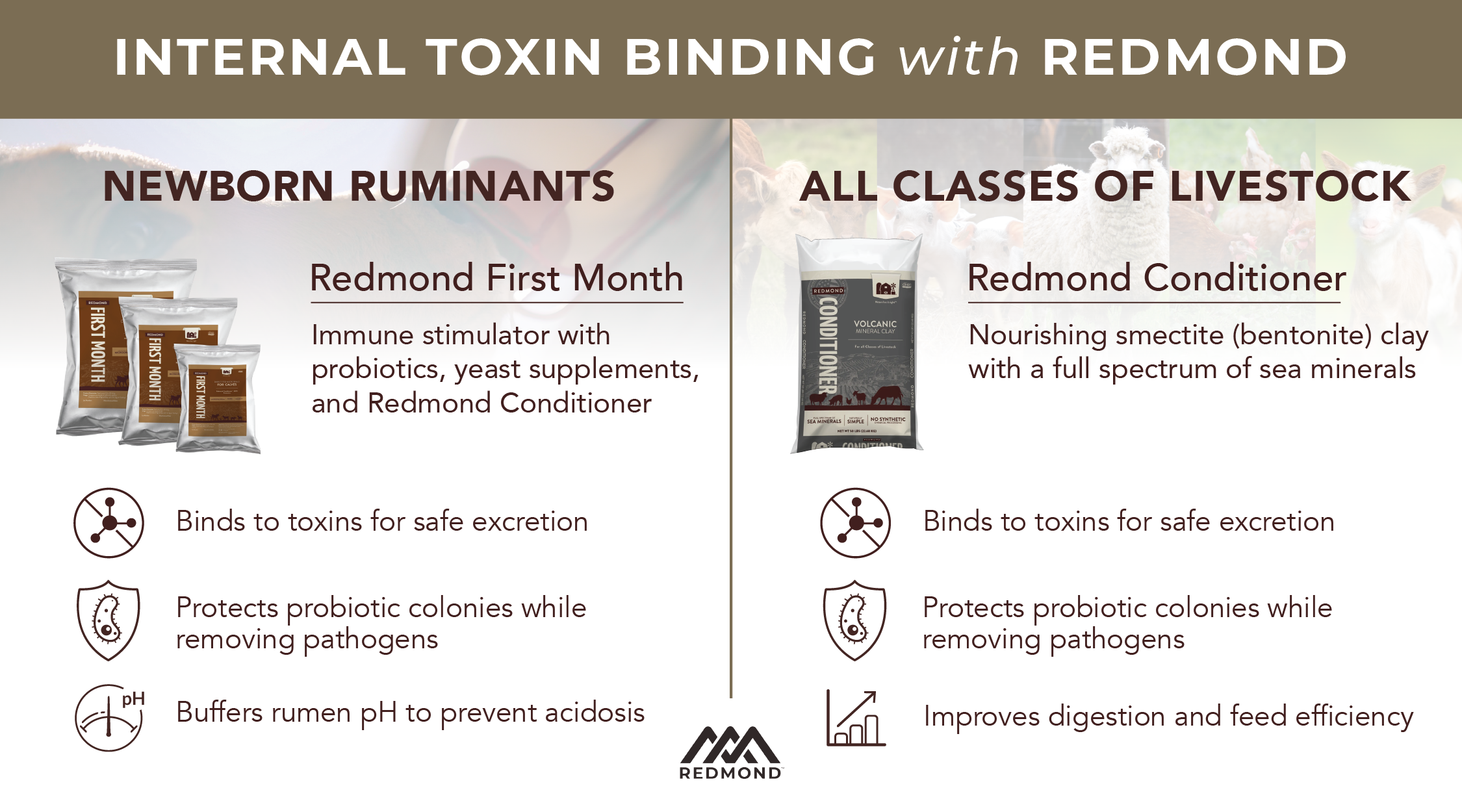 Internal feed toxin binding