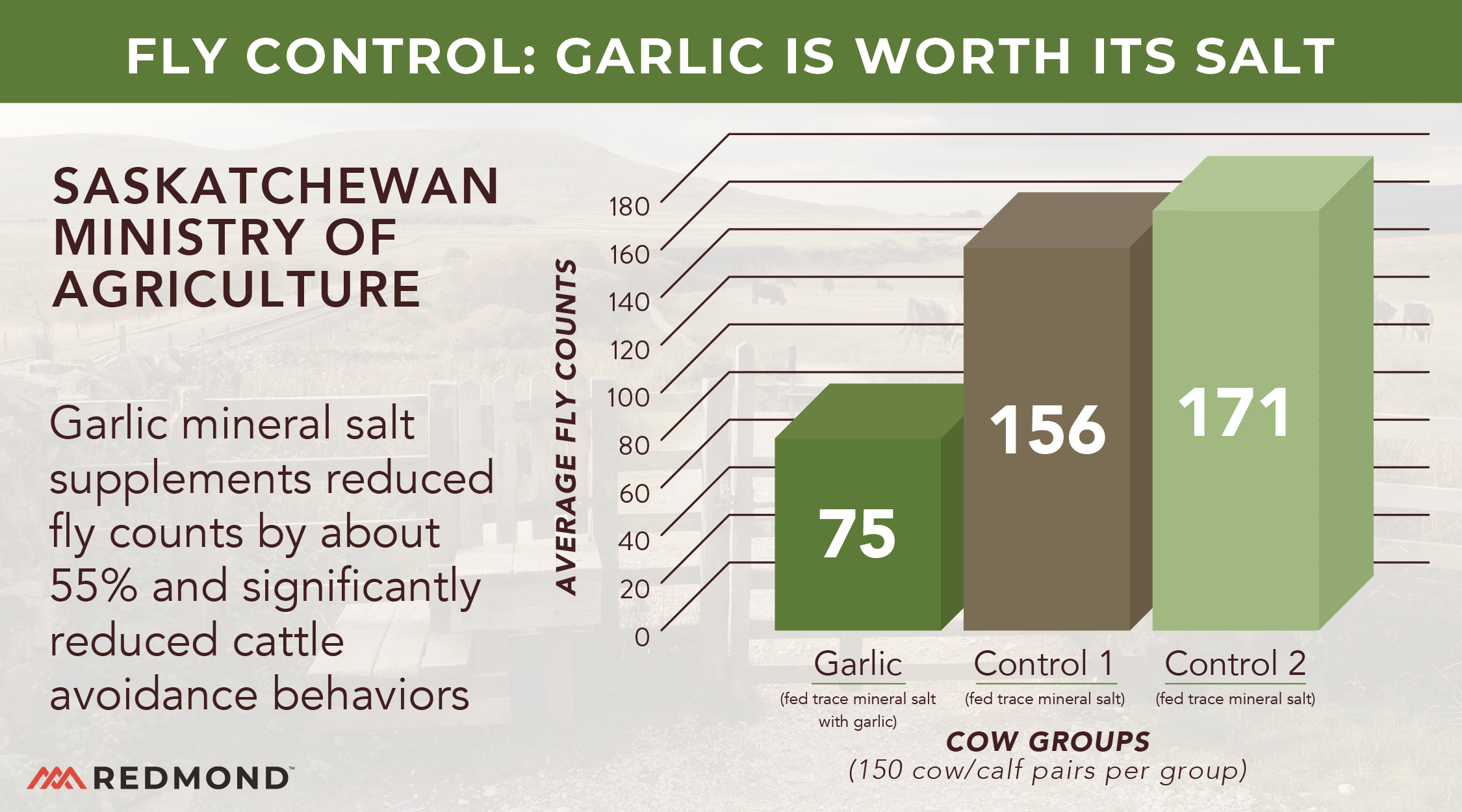 Natural fly control for cattle
