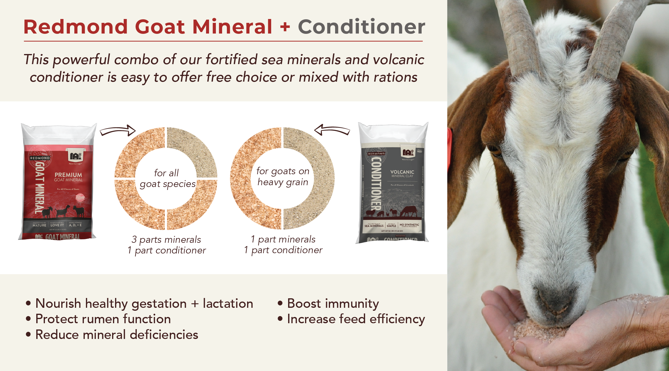 Redmond Goat Mineral Program
