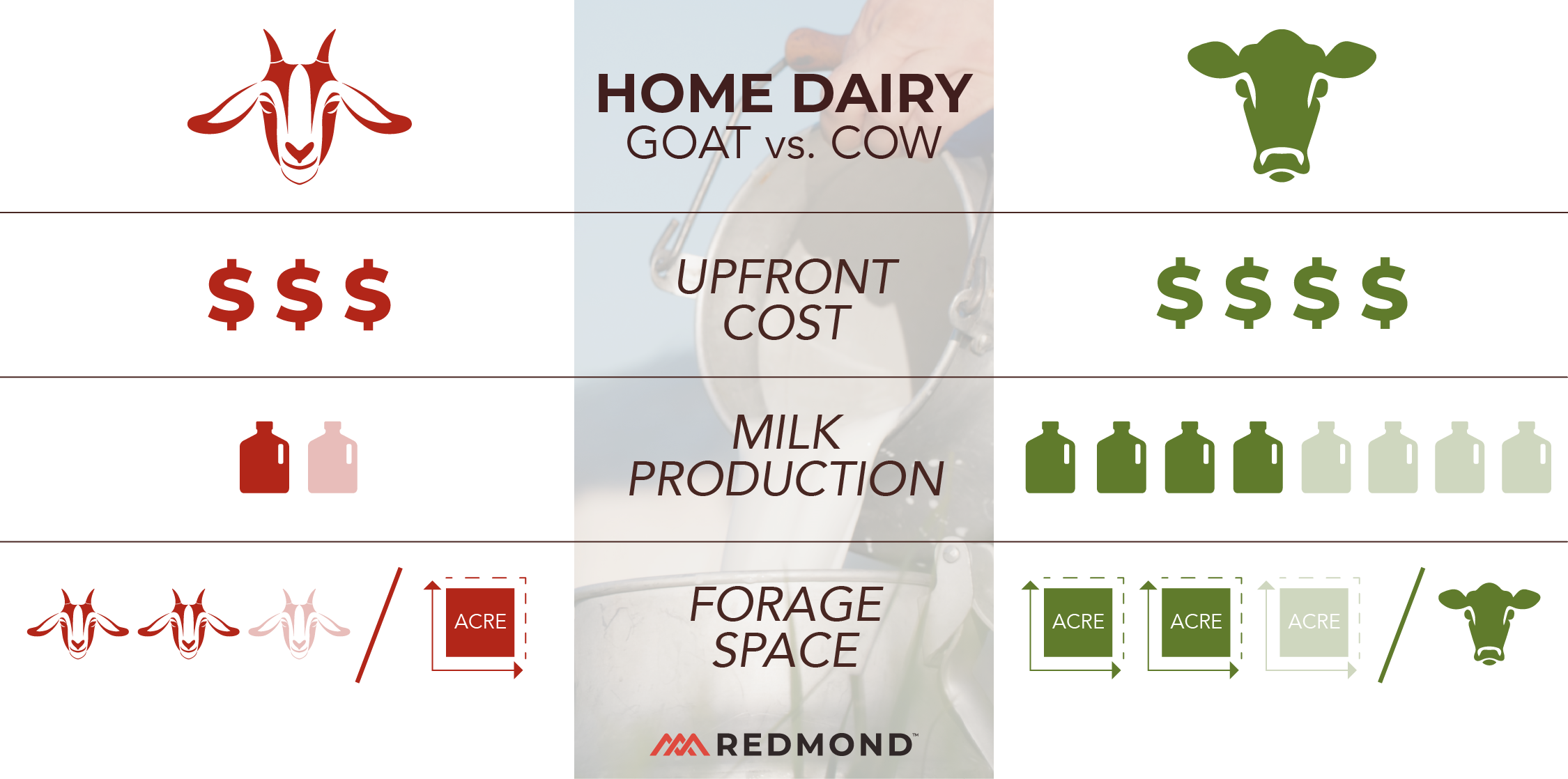Homesteading Dairy -02