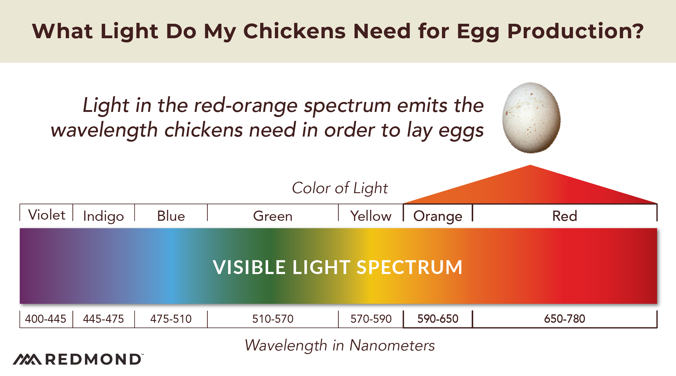 How much light do my chickens need to lay eggs?
