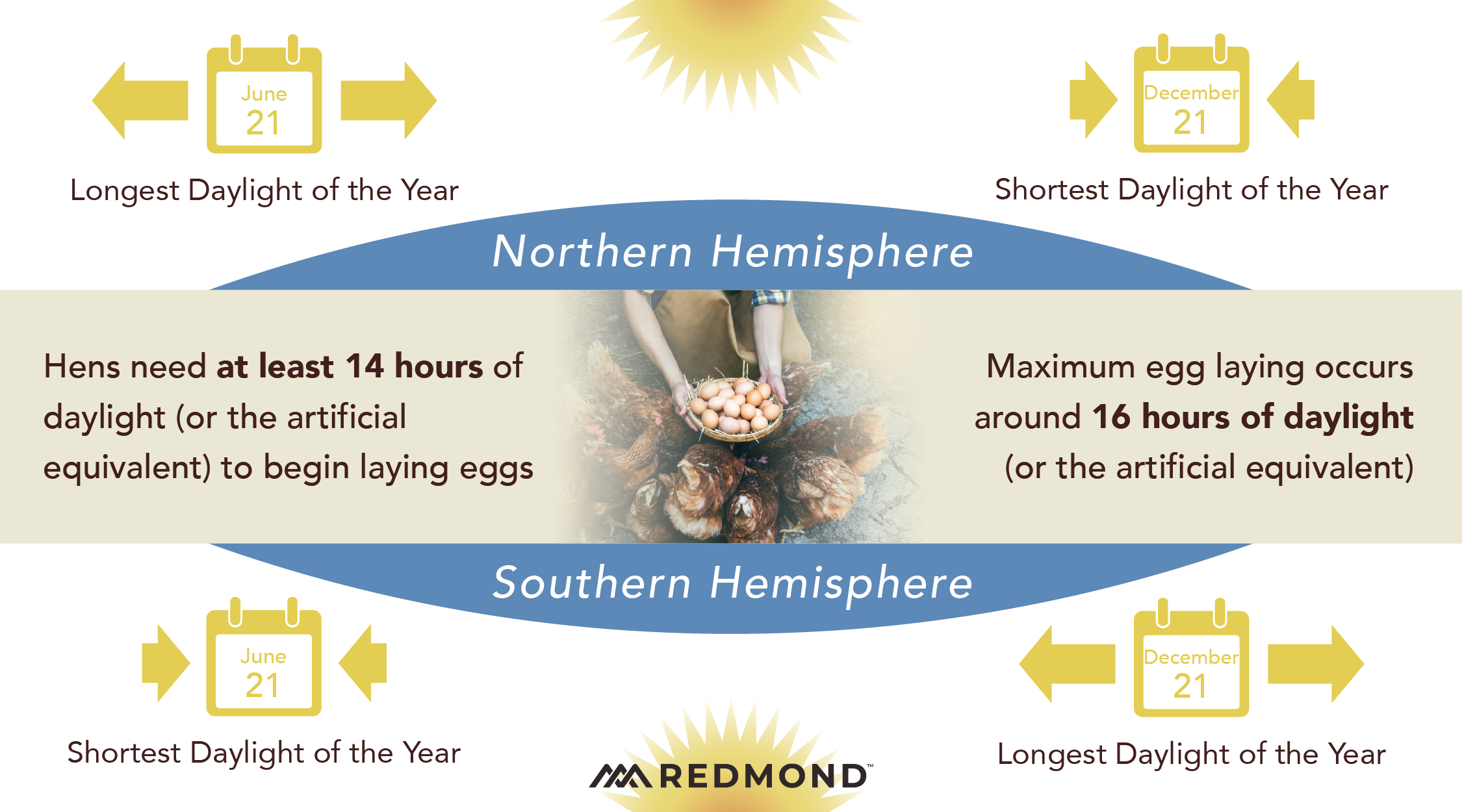 How much sunlight do chickens need to lay eggs?