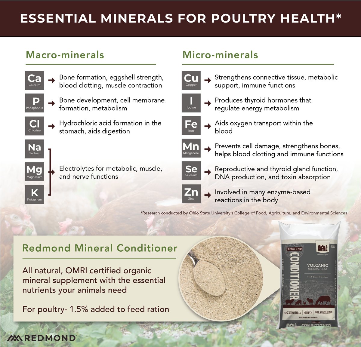 What minerals do chickens need