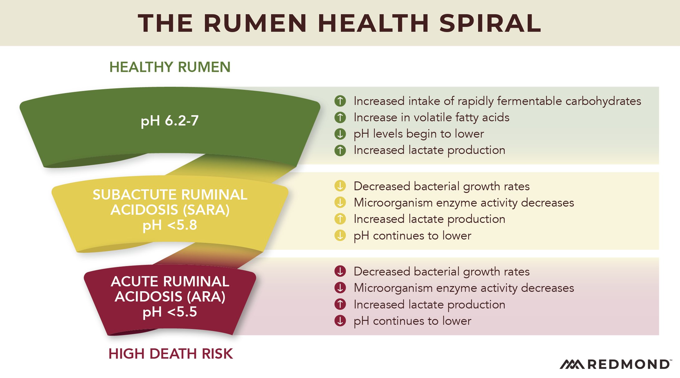 Correcting Ruminal Acidosis
