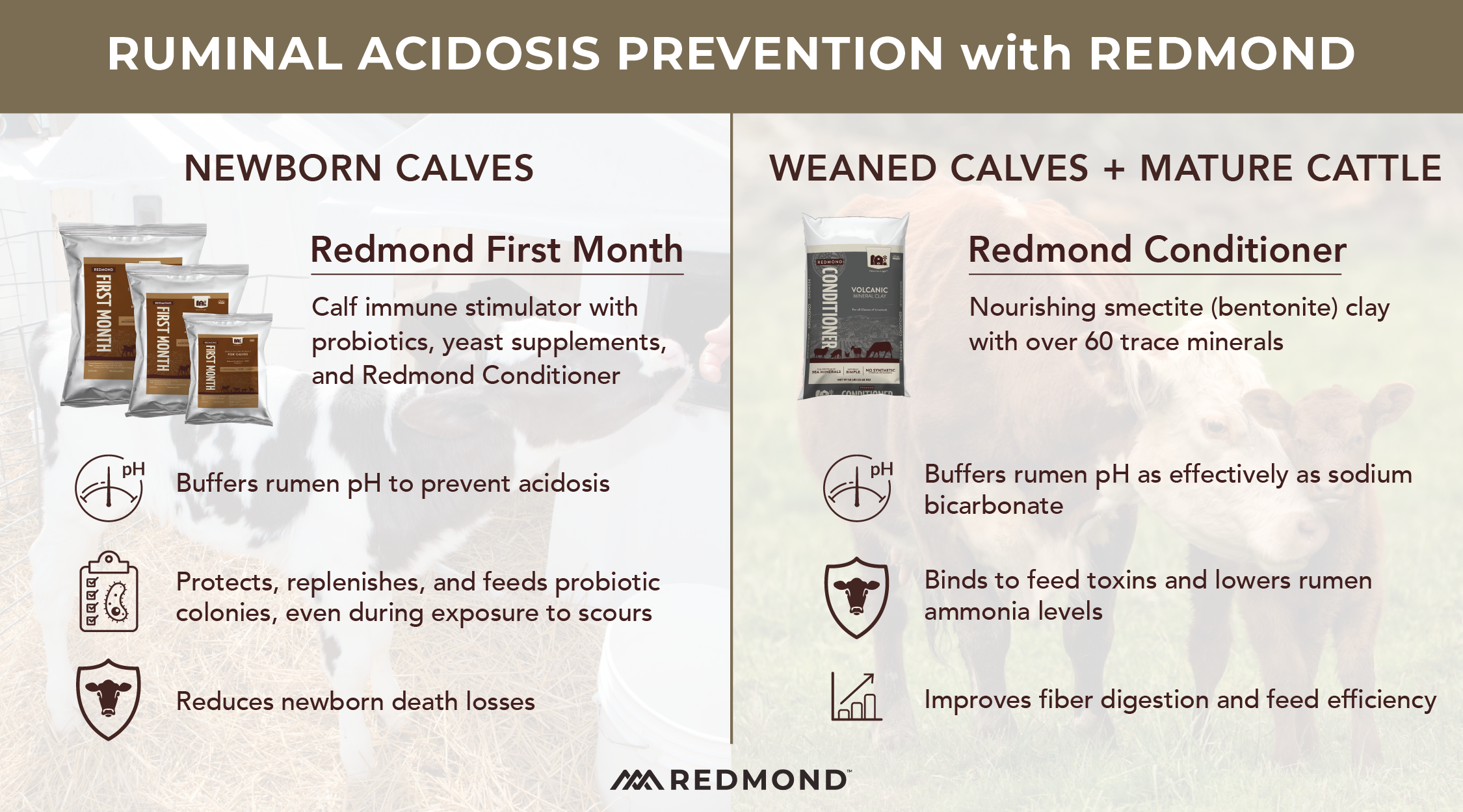Correcting Ruminal Acidosis