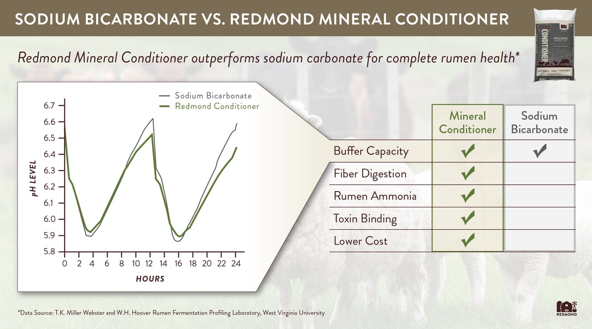 Bentonite rumen buffer supplement