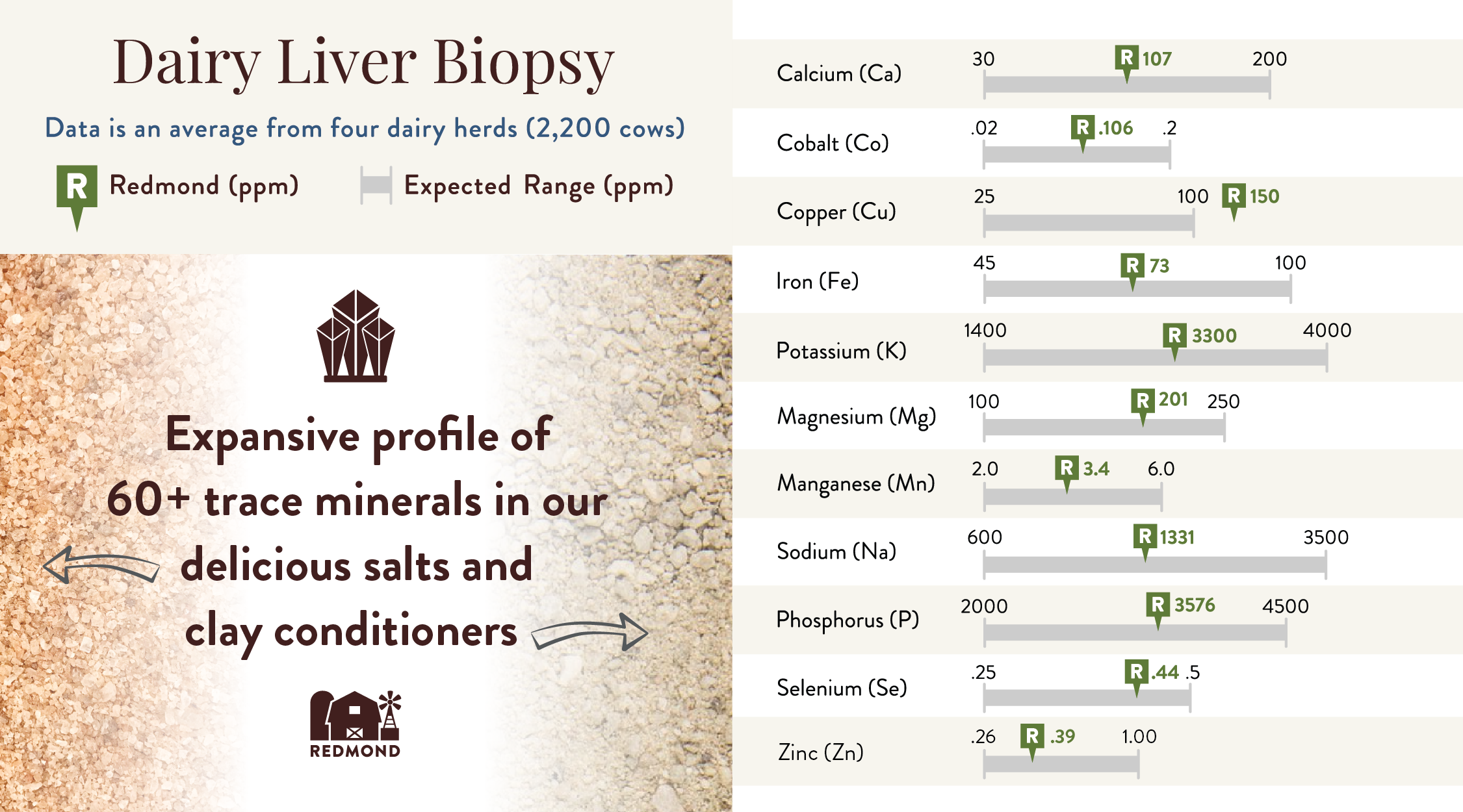 Mineral concentrations in Living Cow Liver Biopsy