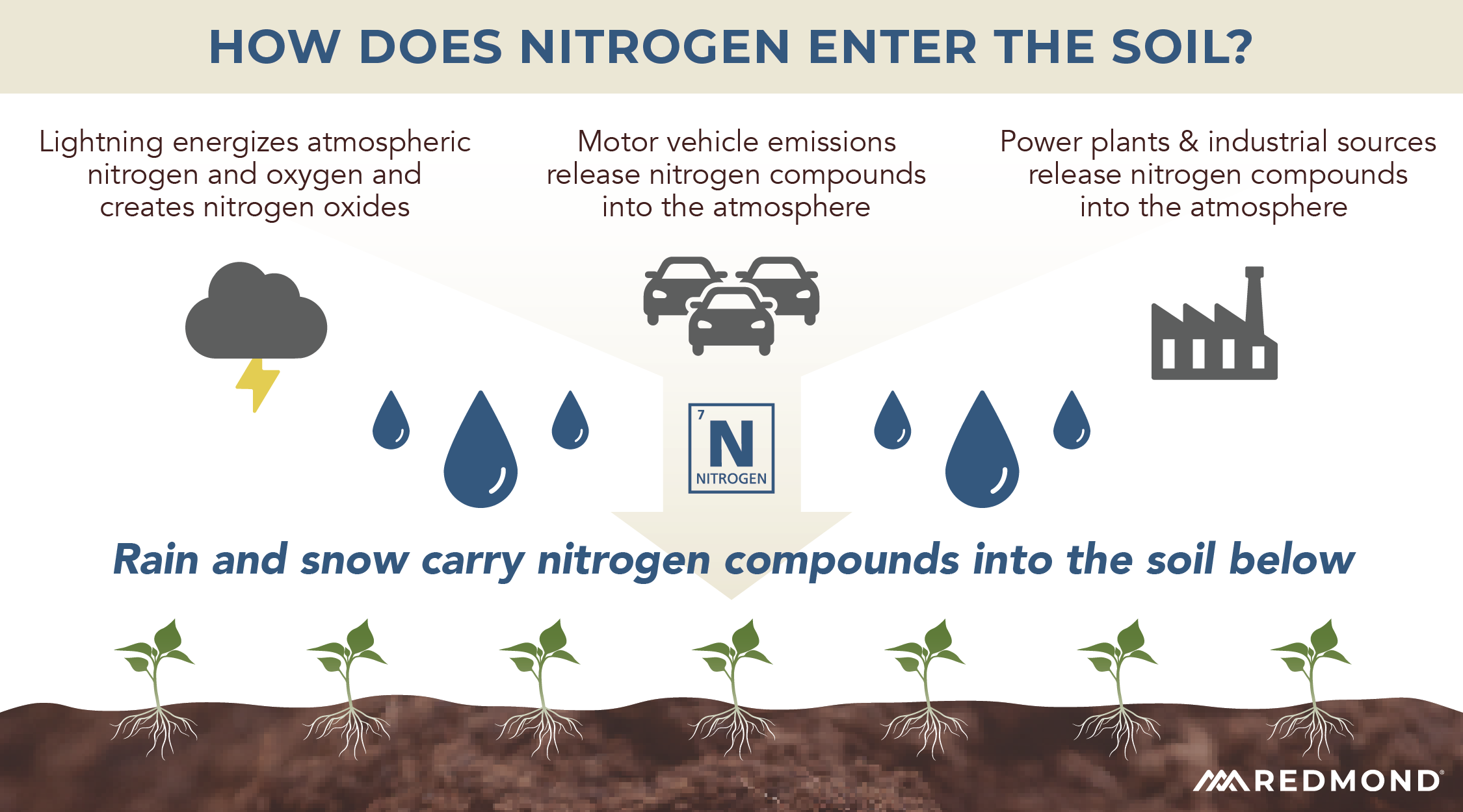How nitrogen gets into the soil
