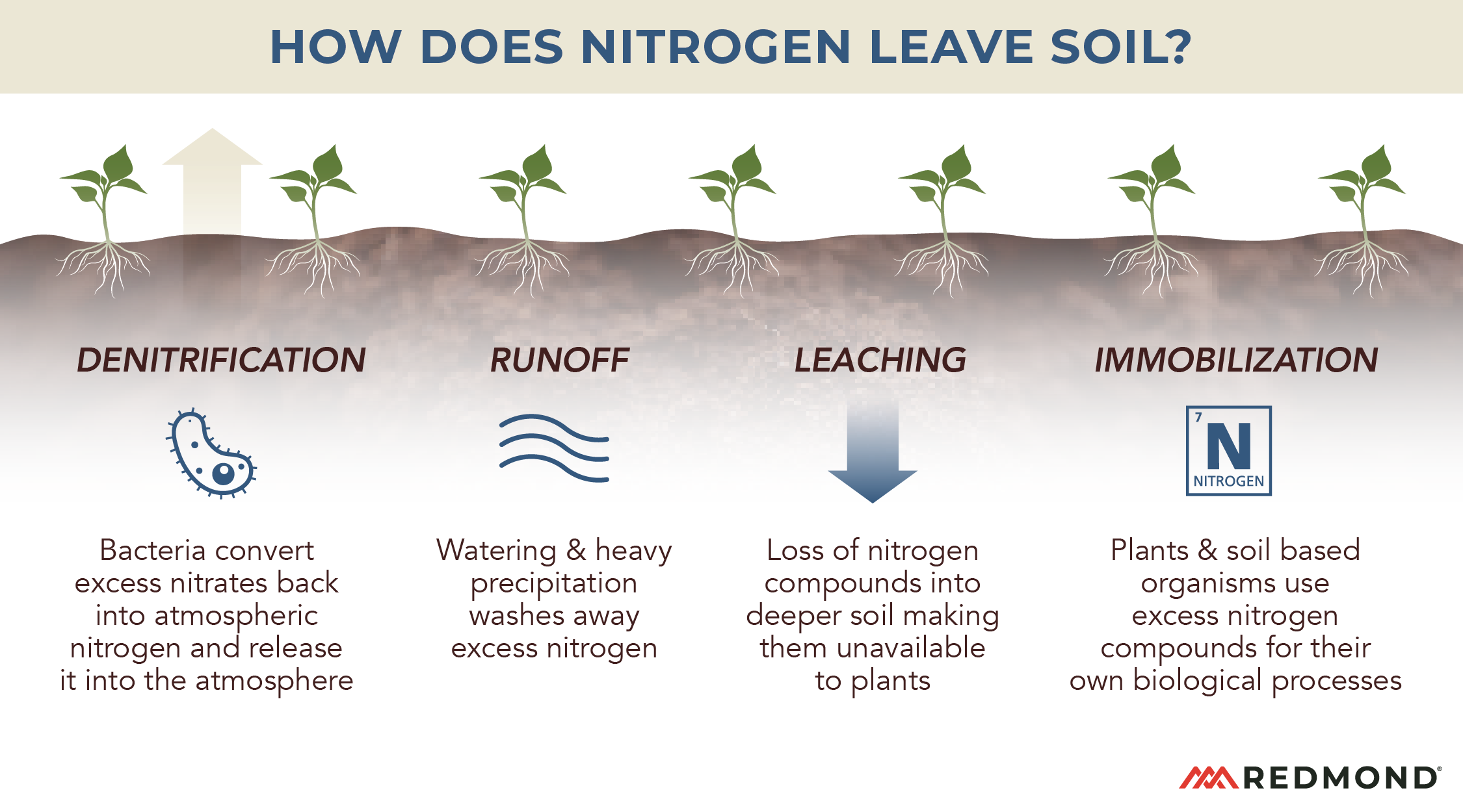 What causes nitrogen soil deficiencies