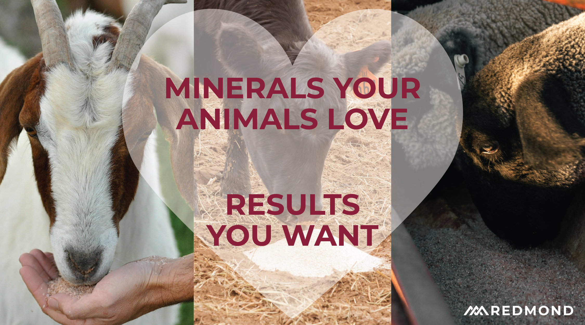 Redmond livestock minerals