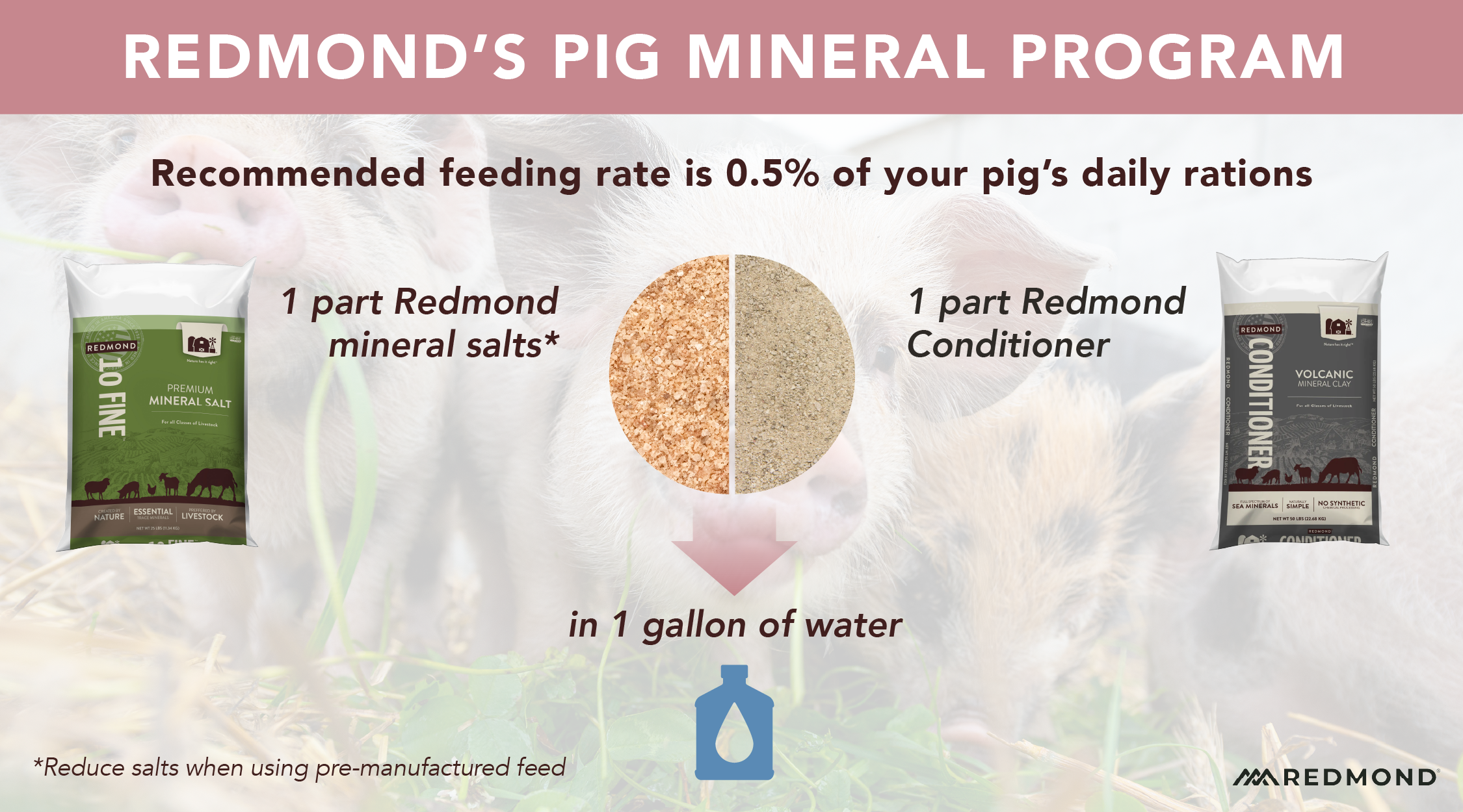 Redmond pig mineral program