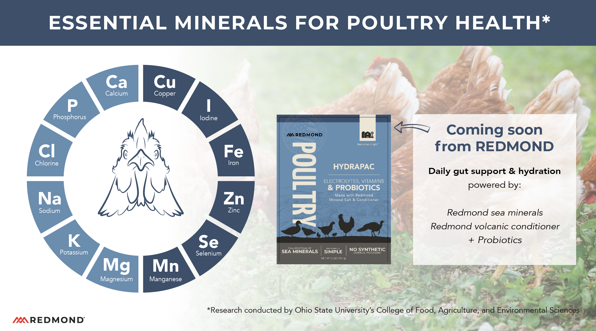 What minerals do chicken's need?