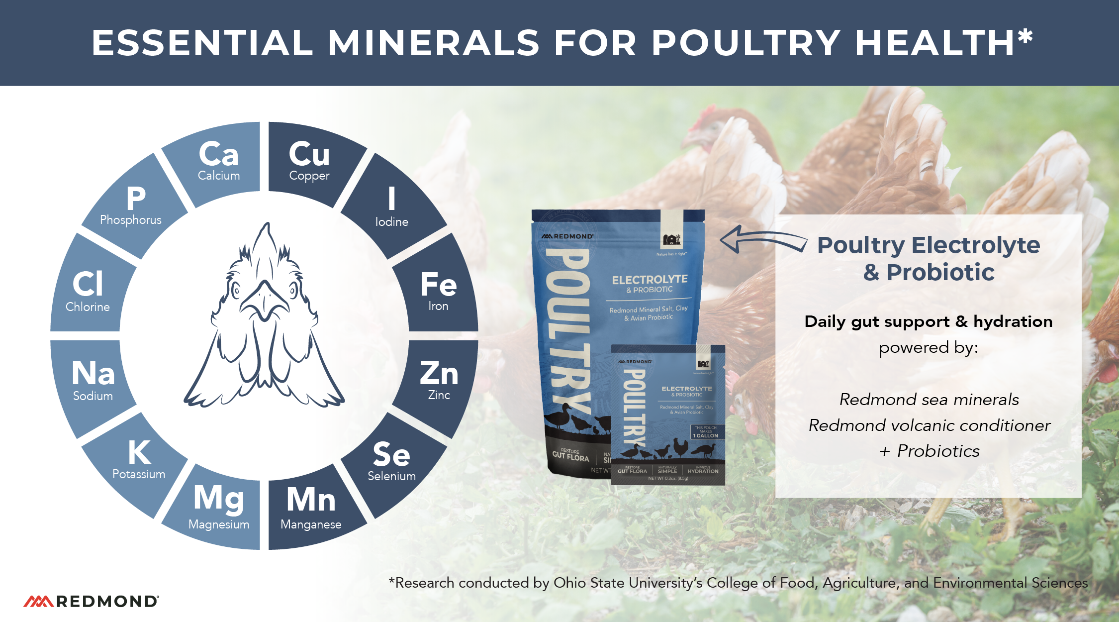 What minerals do chickens need