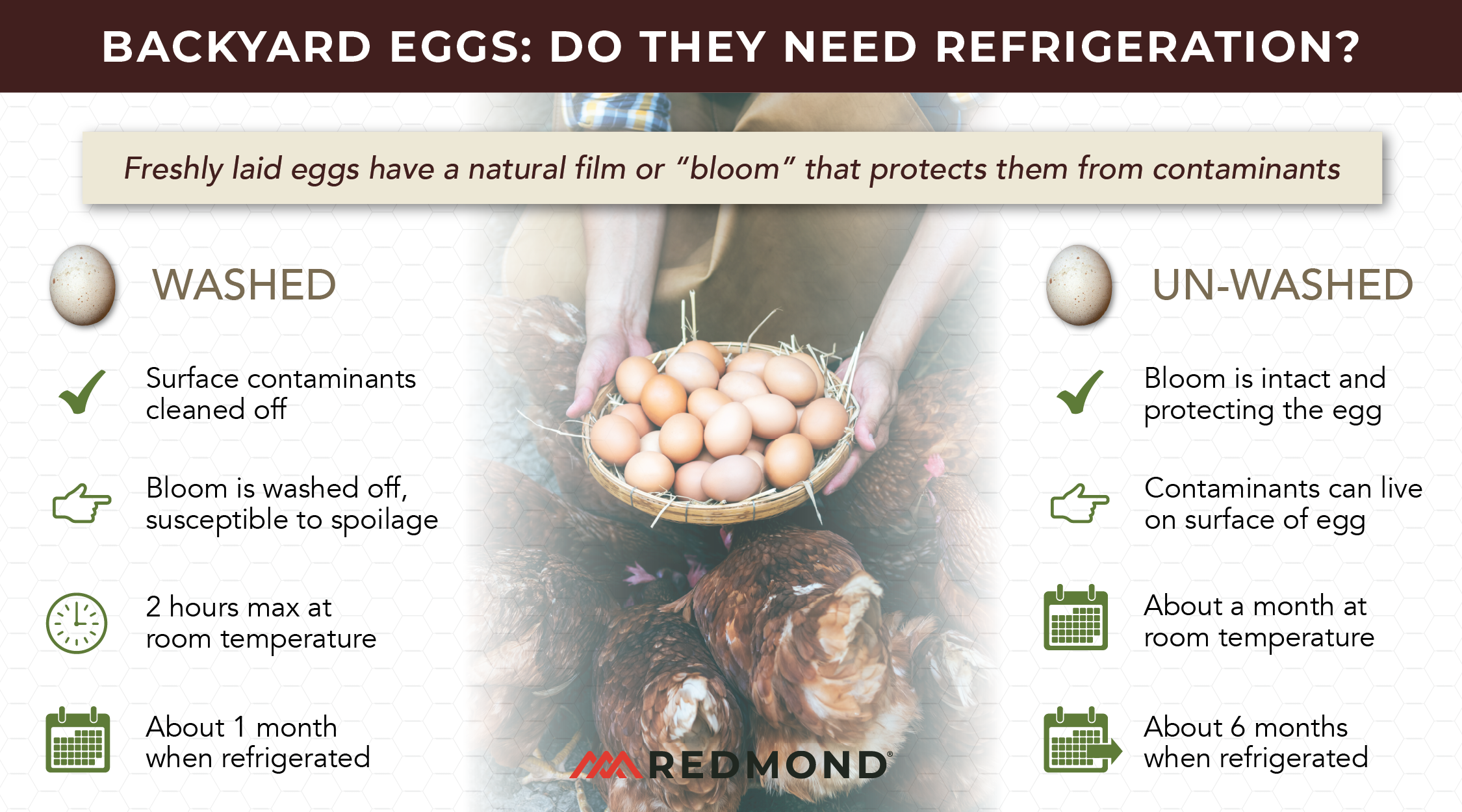 Do backyard chicken eggs need refrigeration