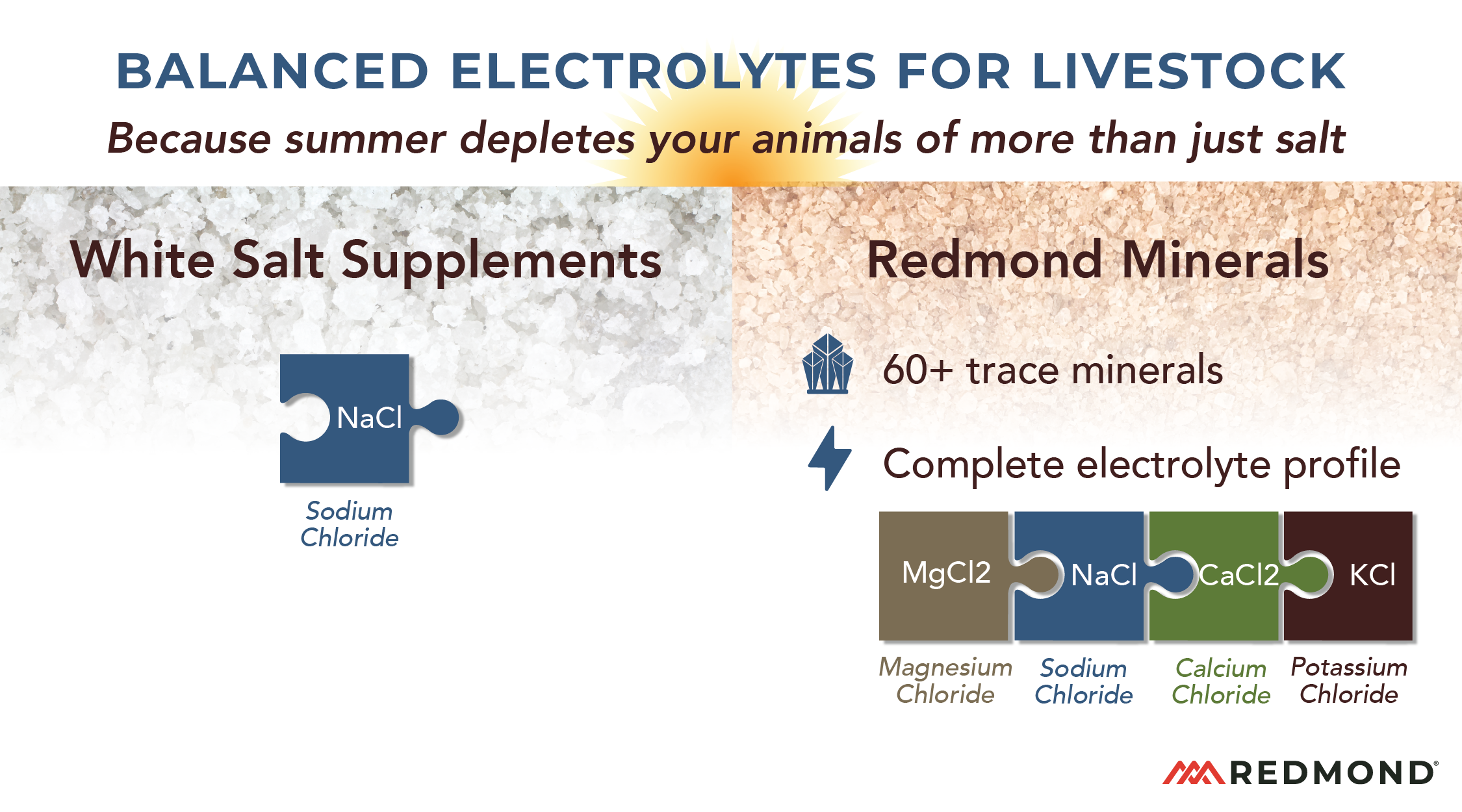 Electrolytes for livestock