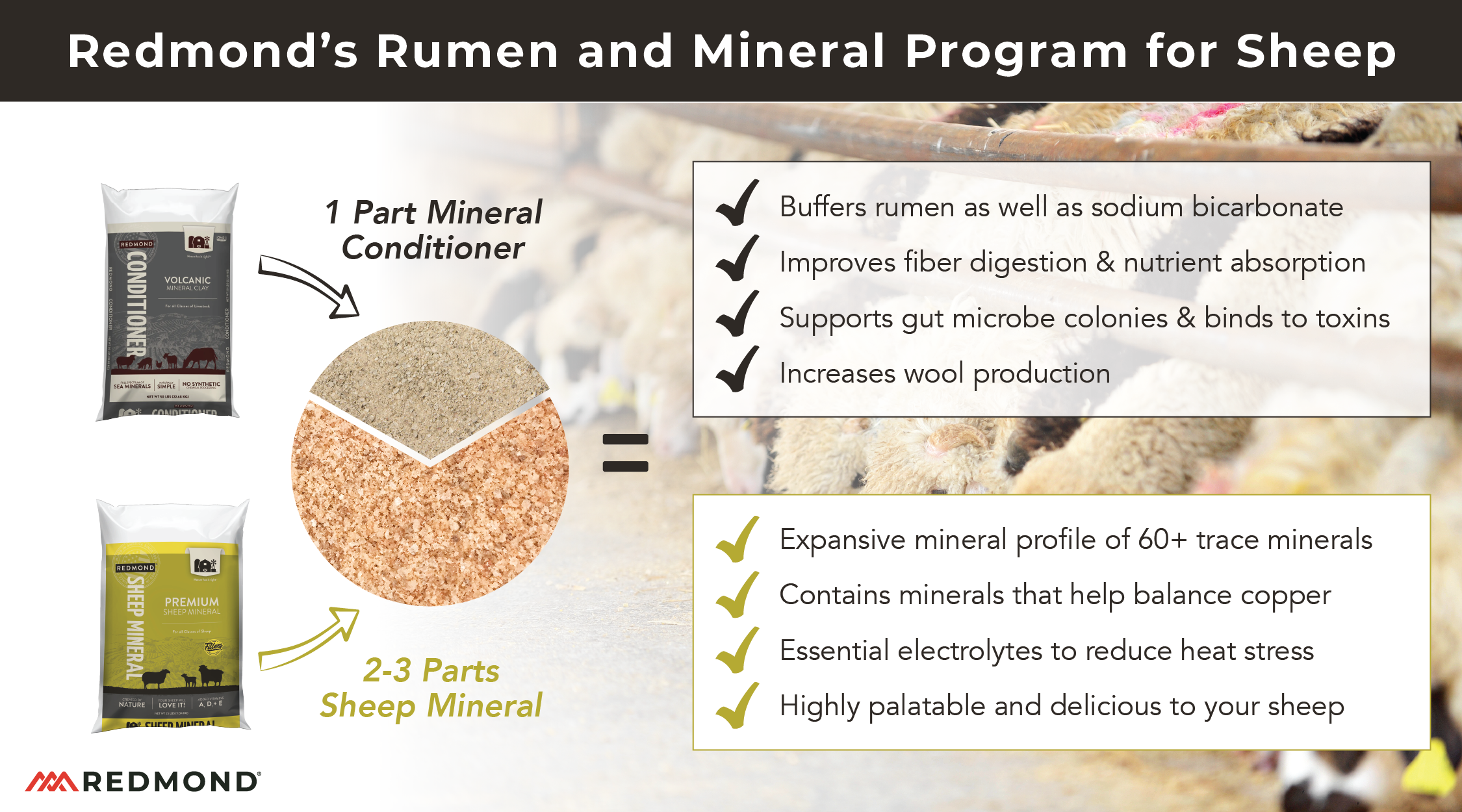 Sheep rumen and mineral health
