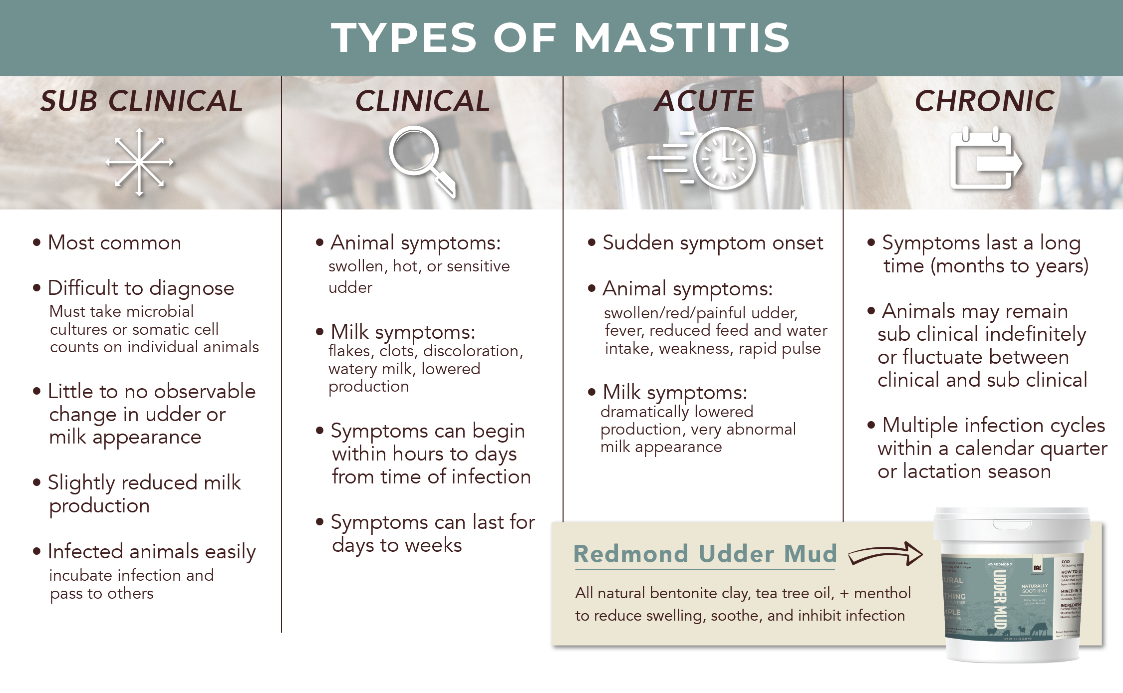 types of mastitis symptoms in cattle