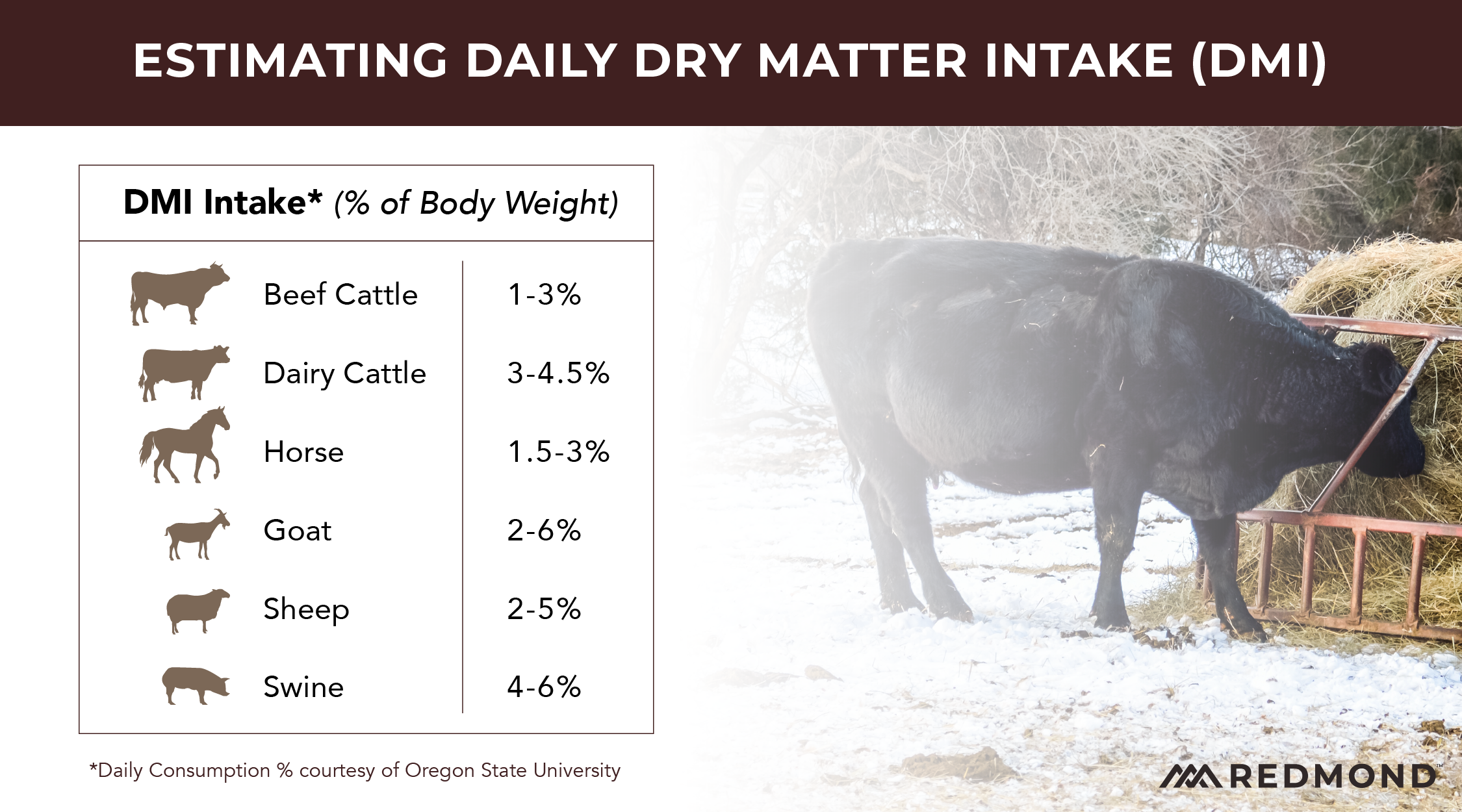 Dry matter intake by livestock species