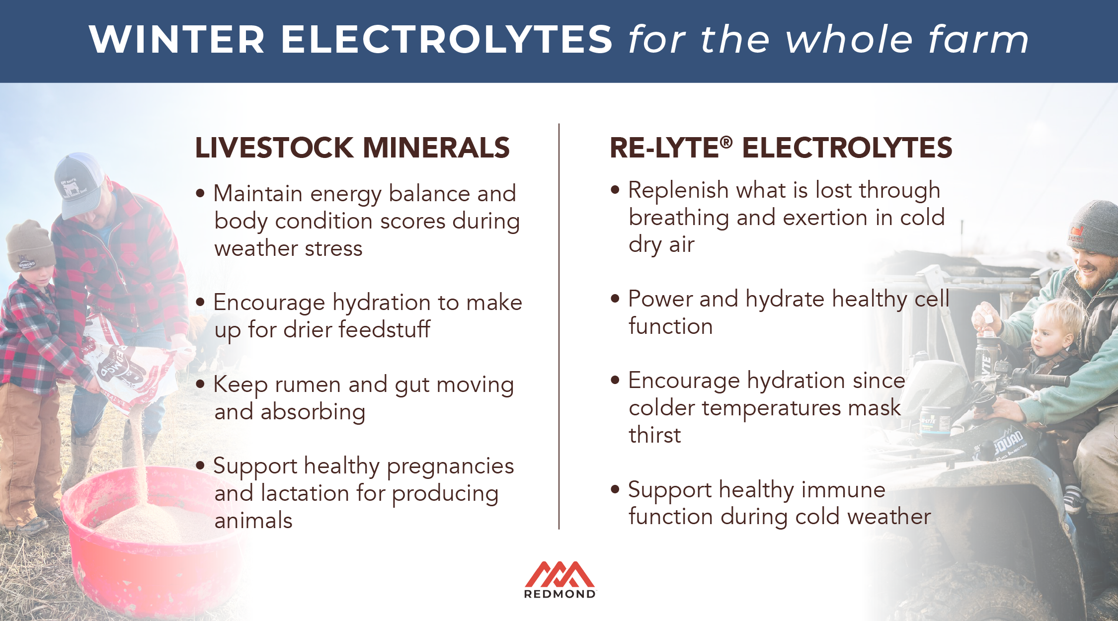 Benefits of Redmond Electrolytes for humans and lifestock during the winter